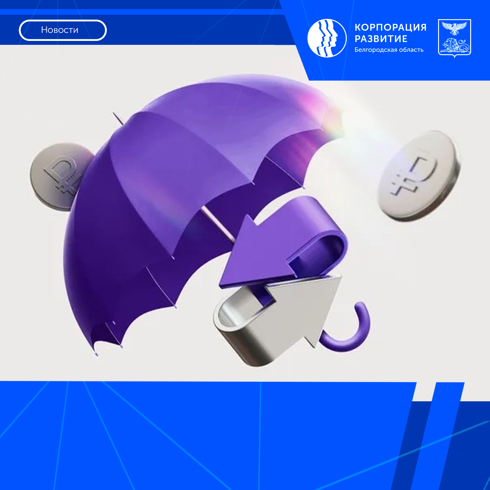 Белгородский бизнес привлёк 2,3 млрд рублей с помощью «зонтичного» плеча Корпорации МСП